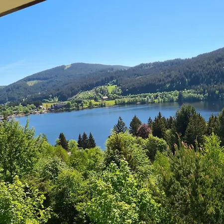 Traumblick Auf Den Titisee, Ruhige Fuer 1-4 *