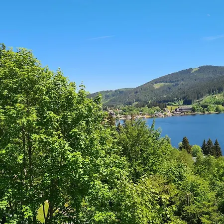 Traumblick Auf Den Titisee, Ruhige Fuer 1-4 Апартаменты *