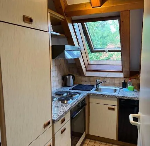 Titisee Traumblick Hinterzarten