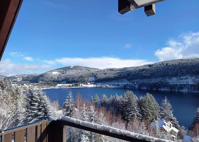 Διαμέρισμα Titisee Traumblick *